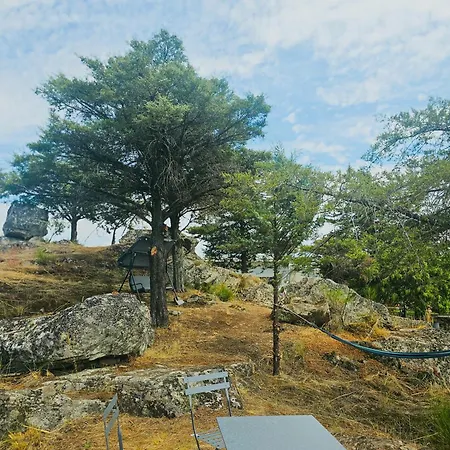 Juncao - Completos Miranda do Douro