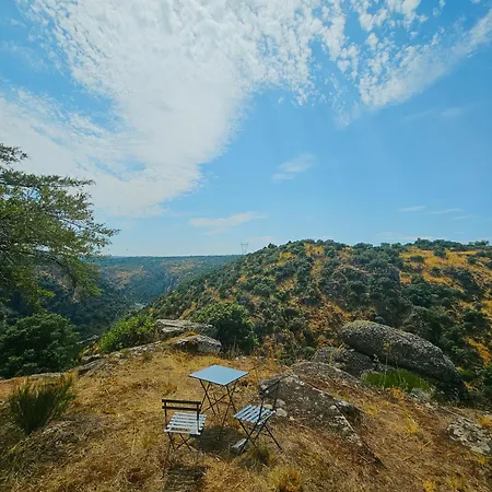 Juncao - Completos * Miranda del Duero