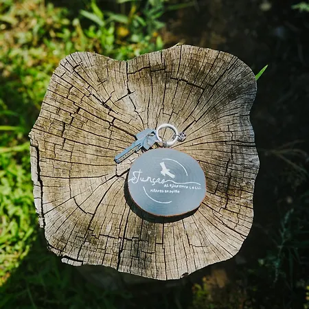 Juncao - Completos Apartamento Miranda del Duero