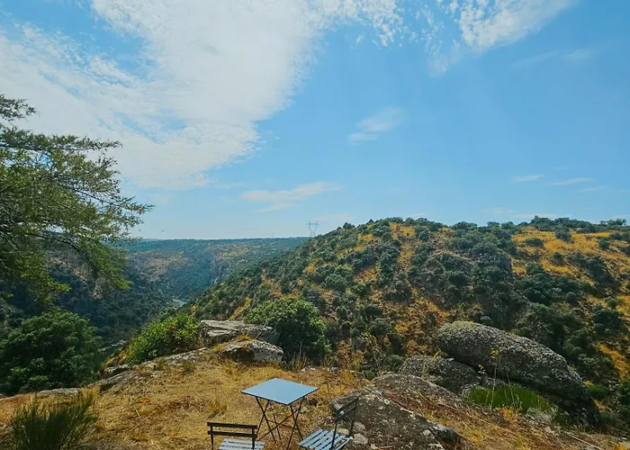 Juncao - Completos * Miranda do Douro