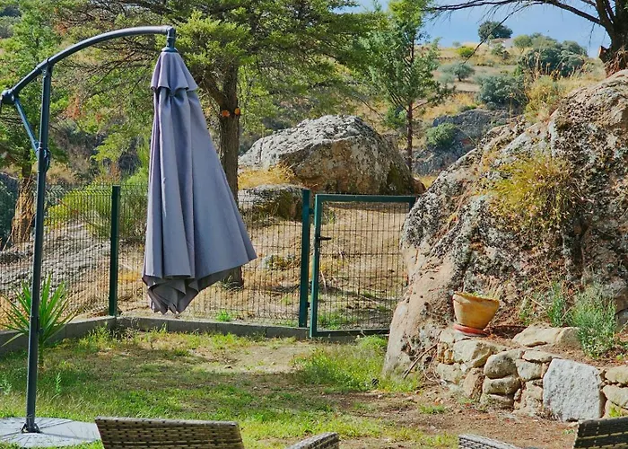 Juncao - Completos 米兰达·杜·杜罗